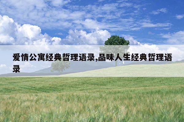 爱情公寓经典哲理语录,品味人生经典哲理语录