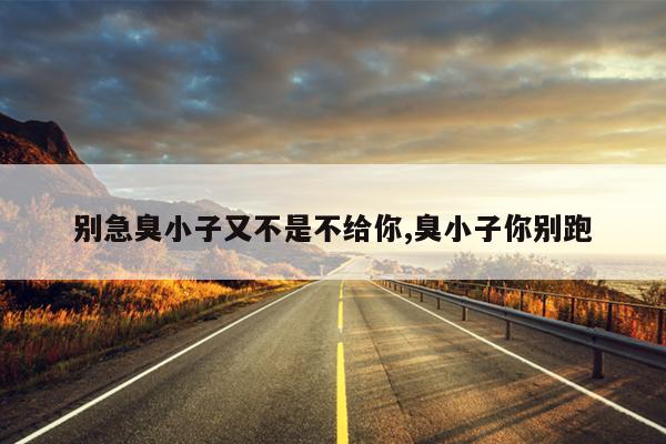 别急臭小子又不是不给你,臭小子你别跑