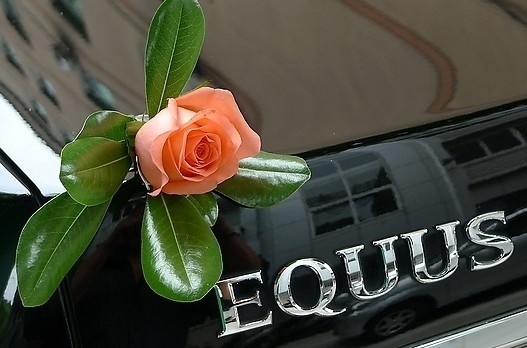 婚车用花婚车鲜花装饰的美好寓意