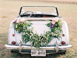 一场简单纯粹的婚礼 白色婚车装饰图片