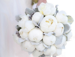 纯洁如雪的纯白色手捧花，衬托新娘纯美动人