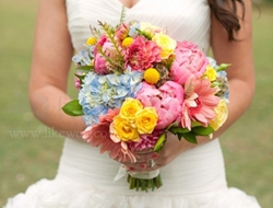 新娘捧花几束不同色彩的鲜花手捧花