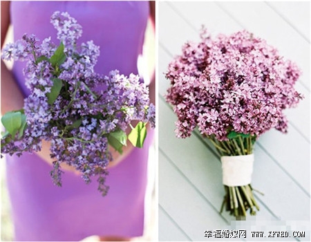 如何挑选新娘手捧花 什么季节拿什么样的花