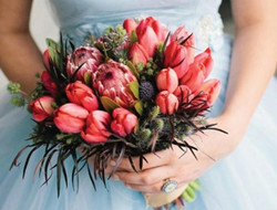 高贵典雅的浪漫气息 各种郁金香打造的新娘手捧花