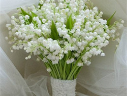 不同花朵代表不同意义 新娘手捧花的含义
