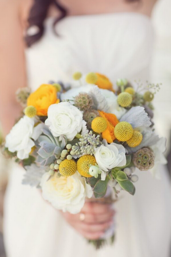 新娘手捧花图片,多肉植物手捧花图片