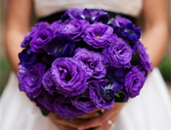 体现新娘的高贵神秘 紫色手捧花
