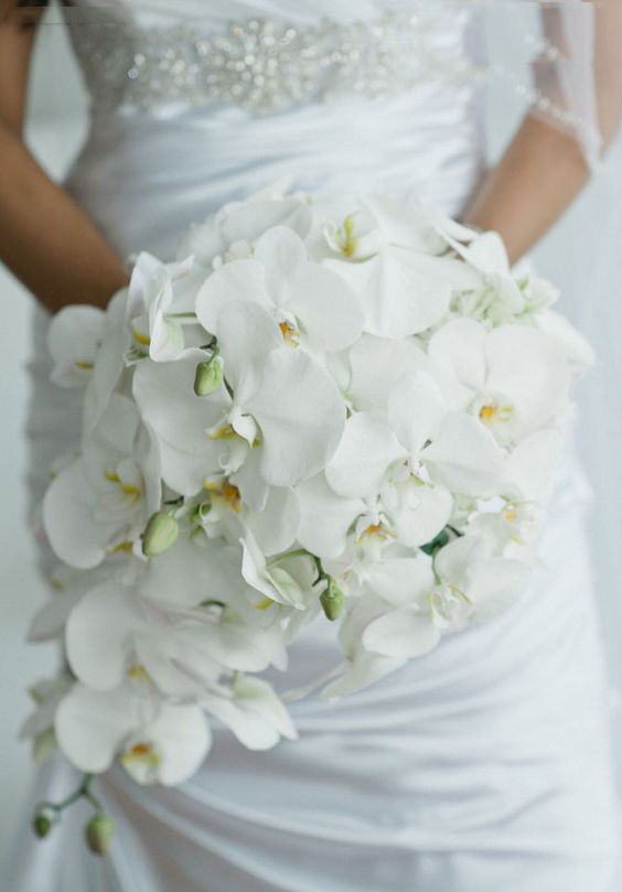 白色瀑布手捧花,新娘手捧花图片