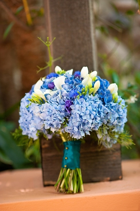 蓝色手捧花图片,新娘手捧花图片