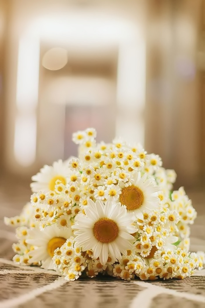 清新复古的小雏菊新娘手捧花，舍弃浮华和繁缛，让宾客感受一场轻松而愉悦的婚礼氛围.
