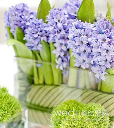 桌花