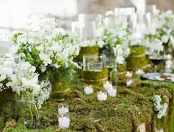 绿植装饰的西式餐桌 森系婚礼必备