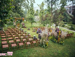 户外婚礼森林草坪清新自然婚礼场景摄影照片