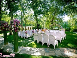 亲近自然林间户外绿色清新婚礼现场布置摄影照片