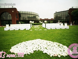 典雅简单白绿色系清新草坪婚礼场景摄影照片
