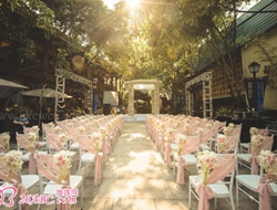 韩式小清新院子粉色清爽舒适婚礼场景摄影照片