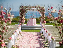 阳光明媚的海边举行一场粉红色的婚礼