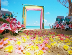 鲜花打造的浪漫简洁的海滩婚礼仪式场地