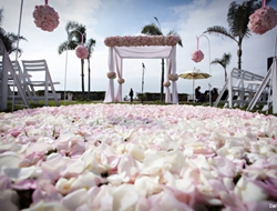 婚礼仪式区域通道路引的花瓣地毯户外婚礼