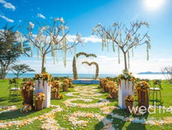 给你一个完美的婚礼 海滩婚礼策划