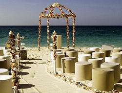 海滩上简约的贝壳装饰的婚礼仪式场