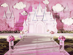 粉红城堡婚礼 满足新娘少女心