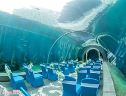 蓝色海底水下梦幻世界主题婚礼现场布置摄影照片