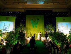 星光森林主题婚礼绿色植物清新摄影图片