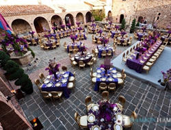 紫金搭配的紫色系主题婚礼场景摄影图片