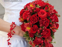 2014圣诞元素红色布置创意喜庆红火节日婚礼