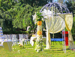 浪漫花园主题婚礼元素 现场图片