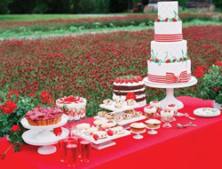 草莓主題婚禮現場布置