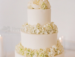 纯白色的婚礼蛋糕，如白瓷一般的精致色感