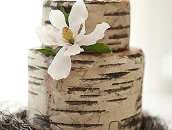 婚礼蛋糕也设计成充满了森林感觉的造型