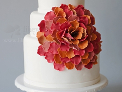 美丽的婚礼蛋糕不同创意和色彩