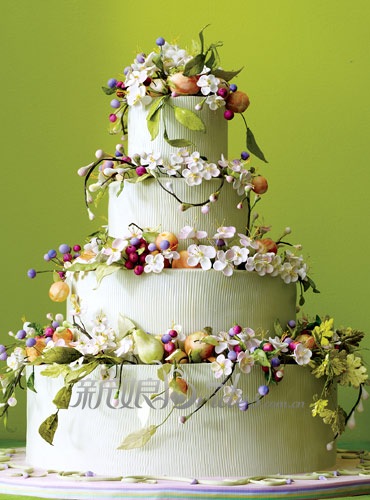 全美最具创意婚礼蛋糕（三）(3)