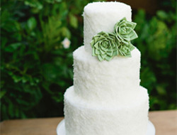 多肉植物婚礼蛋糕图片欣赏 憨厚且不俗套