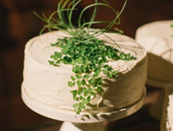给你一个浪漫婚礼 草坪婚礼蛋糕