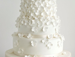 纯色婚礼蛋糕图片 流行色