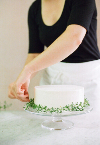 新鲜的绿色植物