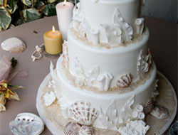 大海主题婚礼上的贝壳蛋糕