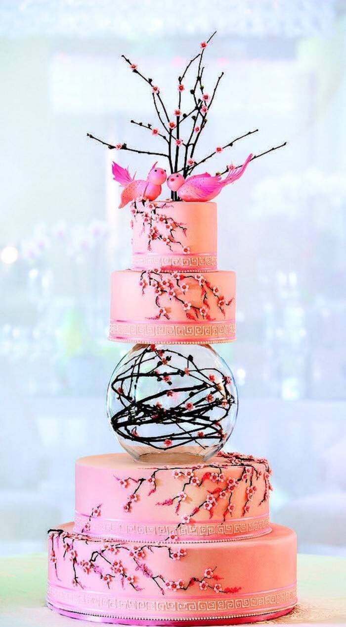 Hello 大家好 对 是我 我是蛋糕