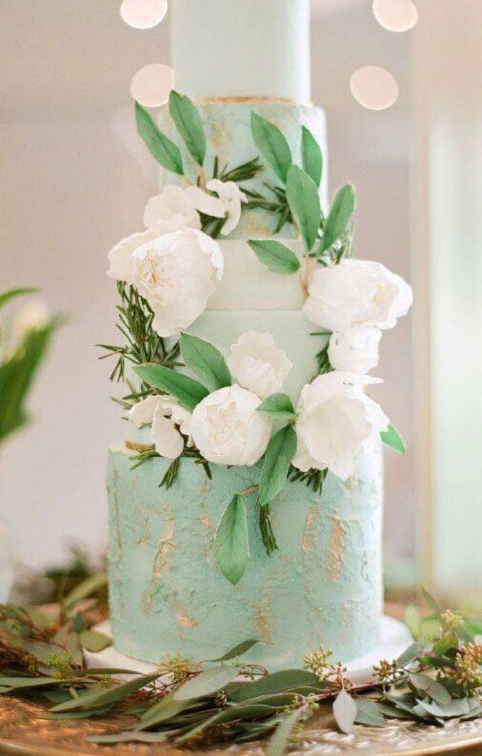 Hello 大家好 对 是我 我是蛋糕