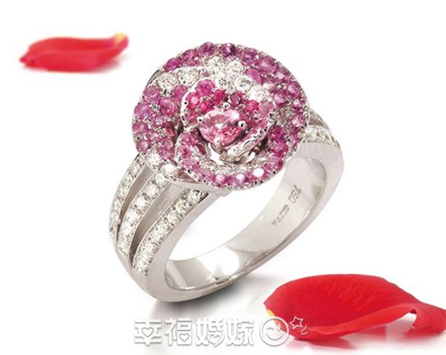 点击查看下一页