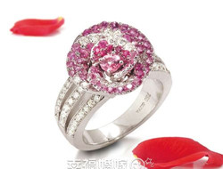 超美新娘钻石戒指欣赏