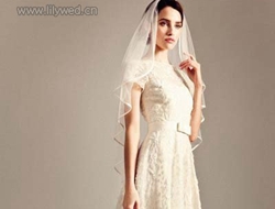 复古蕾丝刺绣婚纱礼服 时尚典雅新娘完美首选