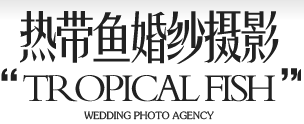 西安热带鱼婚纱摄影