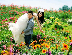 韩式风格郊外花海摄影清新可爱婚纱照
