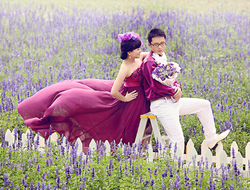 薰衣草花海田园摄影紫色婚纱礼服摄影照片