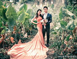 粉色礼服芋叶中摄影创意清新婚纱照